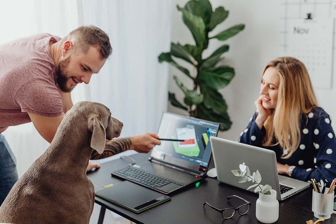 Hund im Büro: Vorteile von Bürohunden - Hund im Büro &#10132; Vorteile von Bürohunden