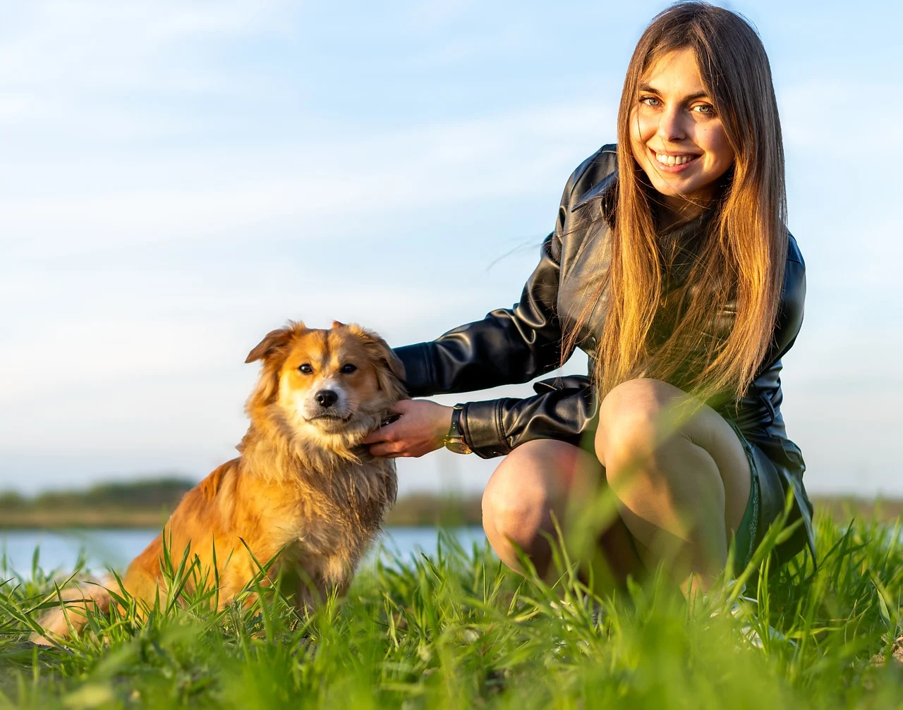 Zeckenkrankheiten beim Hund: Symptome, Behandlung & Schutz - Zeckenkrankheiten beim Hund: Symptome, Behandlung & Schutz