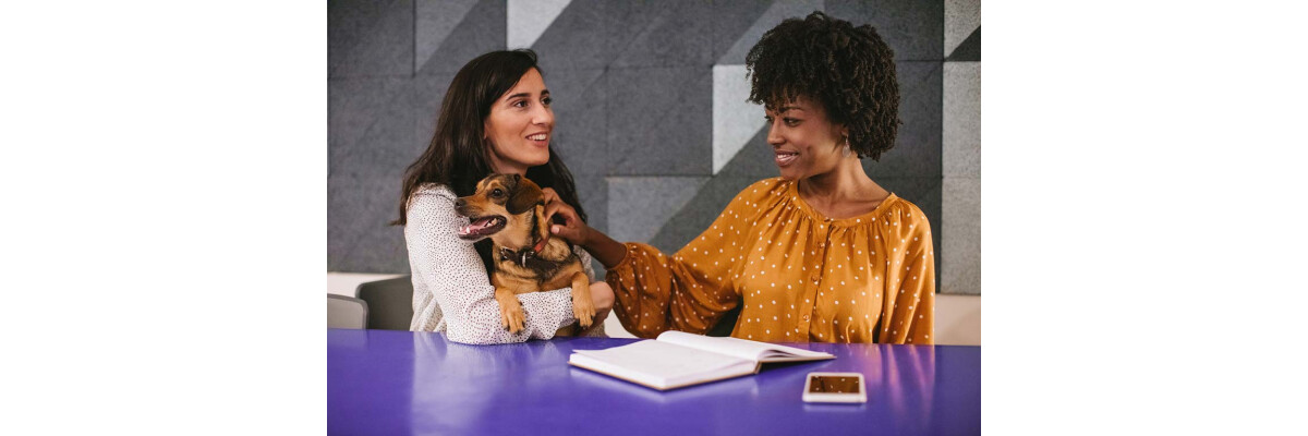 Bürohund - So klappt es mit dem Hund am Arbeitsplatz - Bürohund &amp;#128054; So klappt es mit dem Hund am Arbeitsplatz von Franziska Schneider