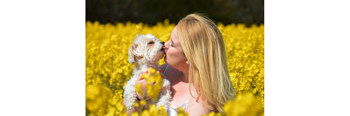 So zeigt dein Hund, dass er dich liebt - So zeigt dein Hund, dass er dich liebt