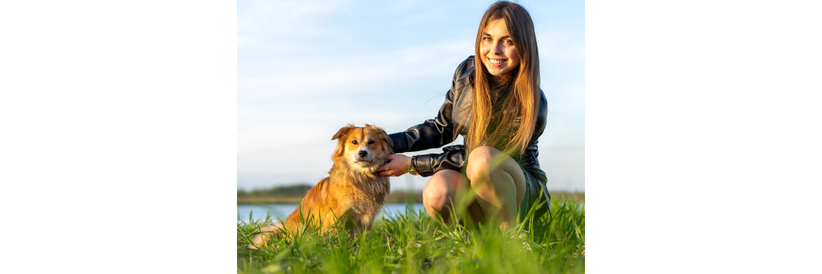Zeckenkrankheiten beim Hund: Symptome, Behandlung &amp; Schutz - Zeckenkrankheiten beim Hund: Symptome, Behandlung &amp; Schutz