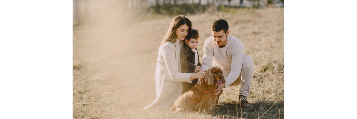 10 Dinge, die wir von unseren Hunden lernen können - 10 Dinge, die wir von unseren Hunden lernen können