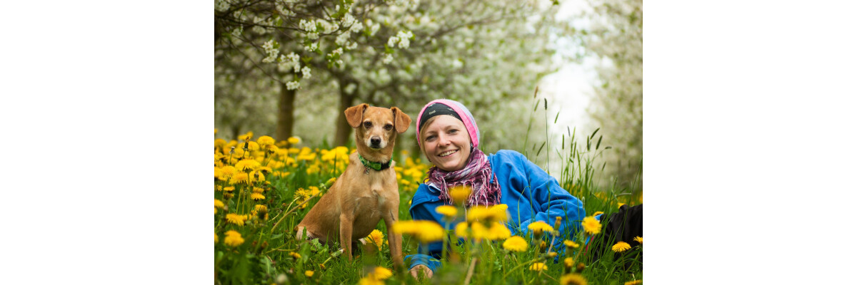 Checkliste: 6 Schritte, damit dein Hund fit in den Frühling startet - Checkliste: 6 Schritte, damit dein Hund fit in den Frühling startet