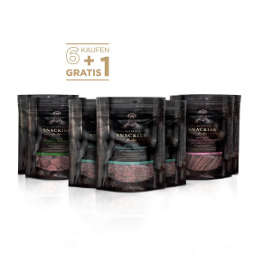 6+1 Vorteils-Set Pferd