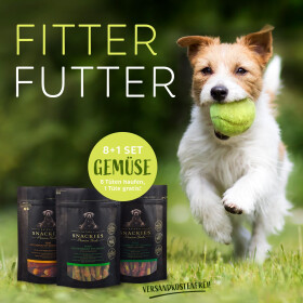 8+1 Vorteils-Set Gemüse