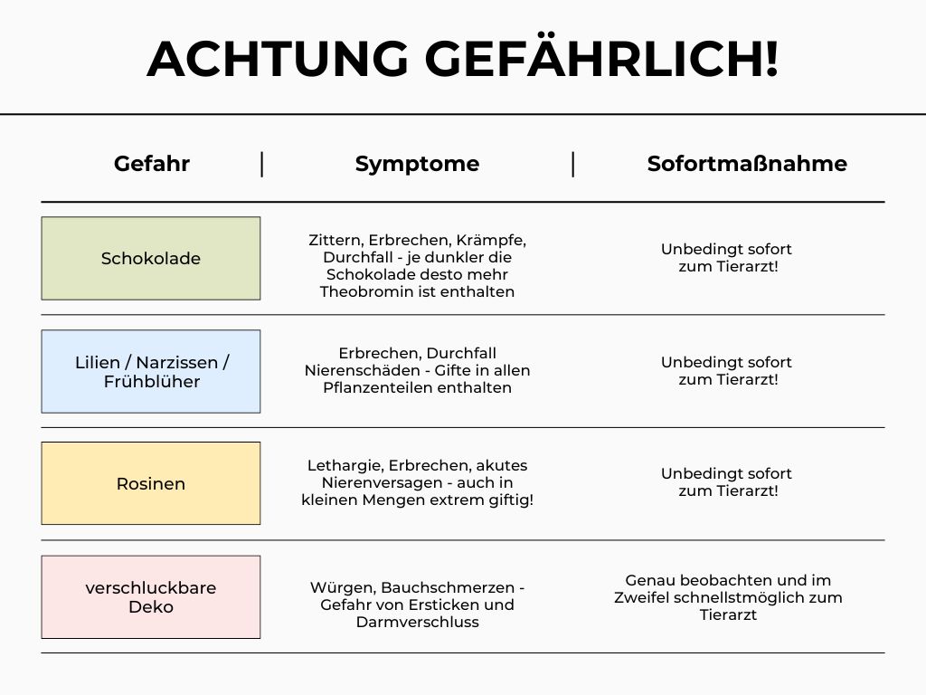 Übersicht der Gefahren für Hunde zu Ostern - Schokolade, Frühblüher, Deko